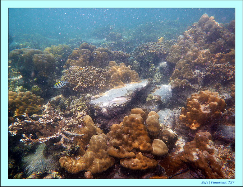 2011 - 07 - Koh Lipe 55